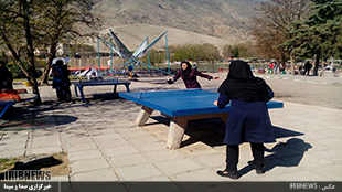 برگزاری تنیس روی میز در استان