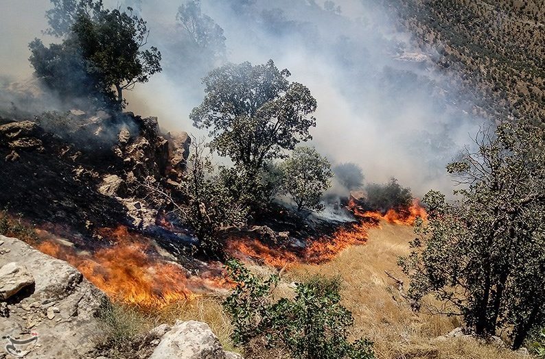 ۱۰ نقطه بحرانی آتش سوزی جنگل‌ها در شهرستان سلسله شناسایی شد