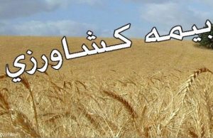 نارضایتی کشاورزان لرستانی از صندوق بیمه محصولات کشاورزی