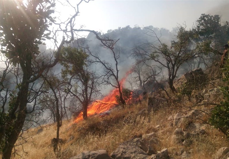 ۶۷۲ هکتار از جنگل‌ها و منابع طبیعی لرستان در آتش سوخت