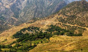 بلوط، ظرفیت منحصر به فرد شهرستان سلسله
