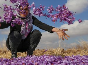 خیز بلند طلای سرخ سلسله به سمت بازارهای جهانی