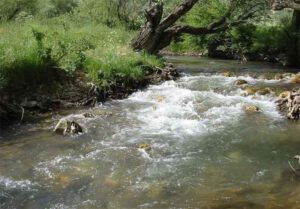 ۶ هکتار از اراضی ملی منطقه نمونه گردشگری کهمان آزادسازی شد