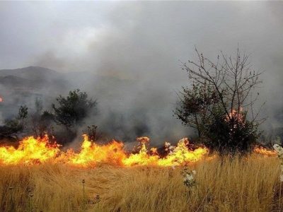 ۱۱۸۵ هکتار از مزارع لرستان در آتش سوخت