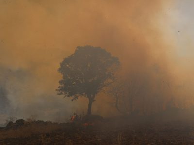 آتش سوزی هزار و ۲۲۷ هکتار عرصه‌های ملی لرستان طی یک هفته