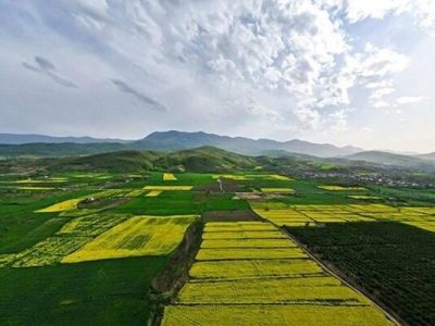 ۱۶ هزار هکتار از اراضی کشاورزی سلسله تثبیت شد