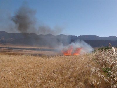 تشکیل پرونده قضایی برای عاملان سوزاندن بقایای مزارع در لرستان