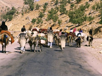 عشایر لرستان در مسیر ایمن‌سازی کوچ؛ از پل‌های «گرگر» تا بیمه دام